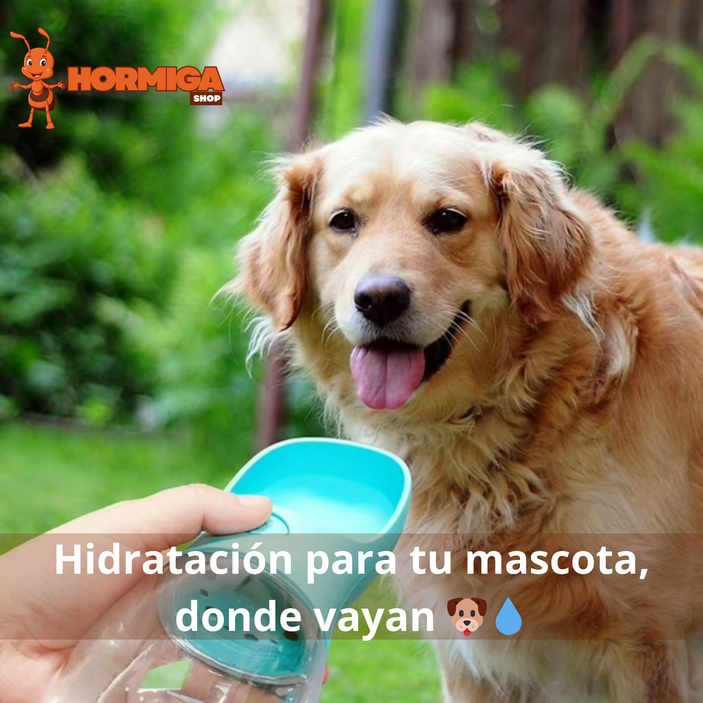 BEBEDERO PORTÁTIL PARA MASCOTAS CON BOTÓN